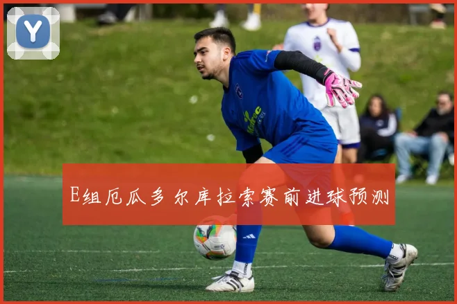 E组厄瓜多尔库拉索赛前进球预测