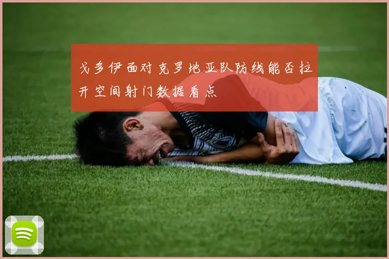 戈多伊面对克罗地亚队防线能否拉开空间射门数据看点