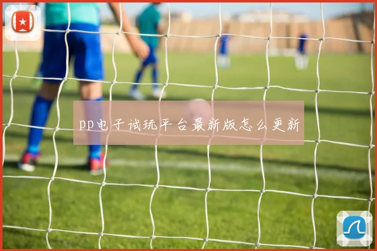 pp电子试玩平台最新版怎么更新