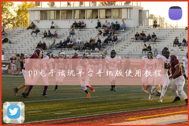pp电子试玩平台手机版使用教程